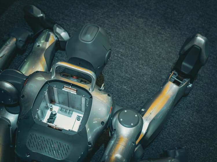 Building AI-Powered Solutions